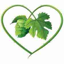 Brew-Tique - The Gluten Free Breweries 14
