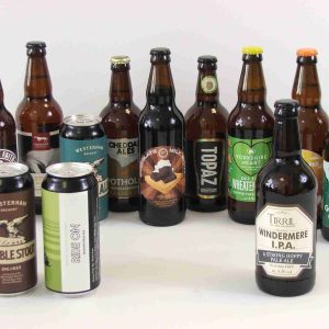12 Mixed Gluten Free Beers - IPA, Pale Ale, Bitter & Stout - Case 2